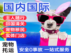 毕节飞雄机场空运国际宠物托运 【国